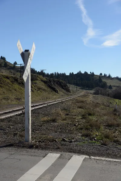 DSC_1082 (Large).JPG